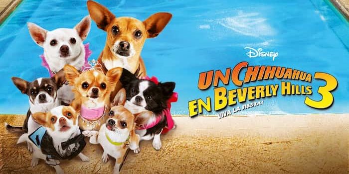 cine Archives Nombres de perros